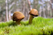 世界体能恢复公益讲座巡回：基层俱乐部受益显著，世界体能比赛