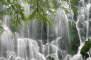 世界举重青年联赛国际教练互换项目启动，世界举重青年锦标赛