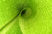 世界体能恢复公益课堂高校合作第12批项目验收公布，世界体能比赛