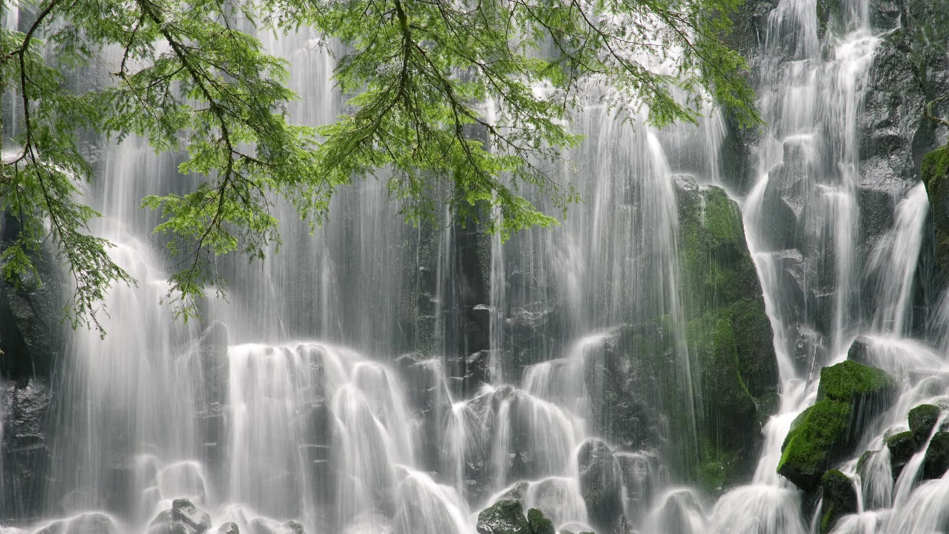 世界举重青年联赛国际教练互换项目启动，世界举重青年锦标赛